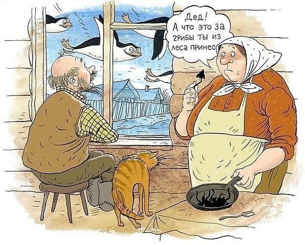 вв.jpg