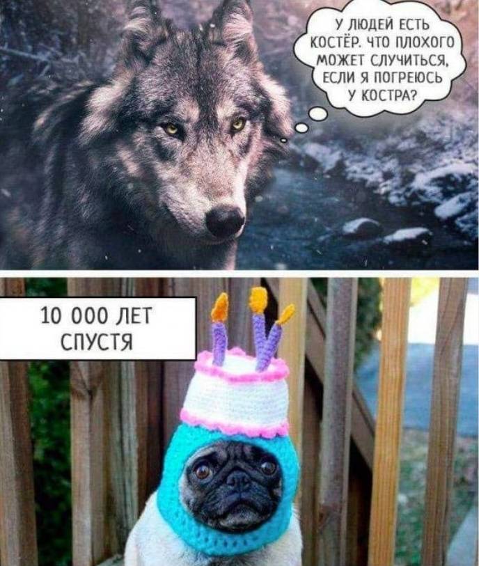 VXoGVXuxcMg.jpg