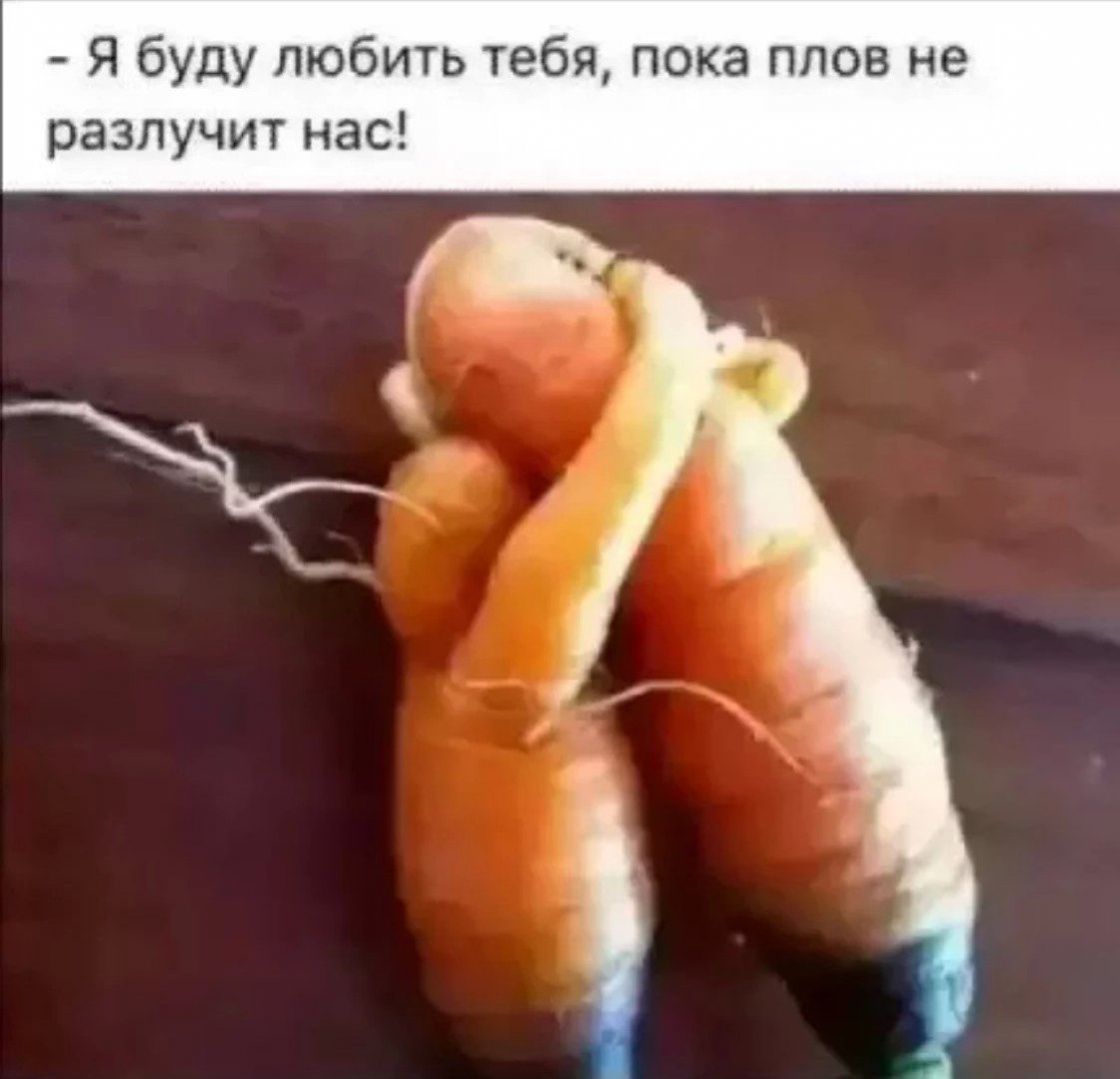 вы.jpg