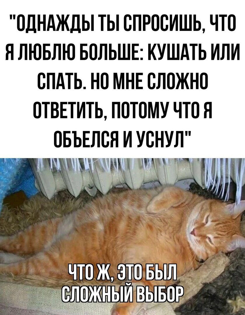 Выбор.jpg