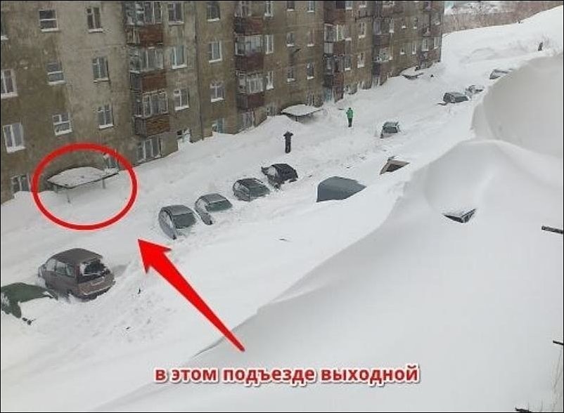 вых.jpg