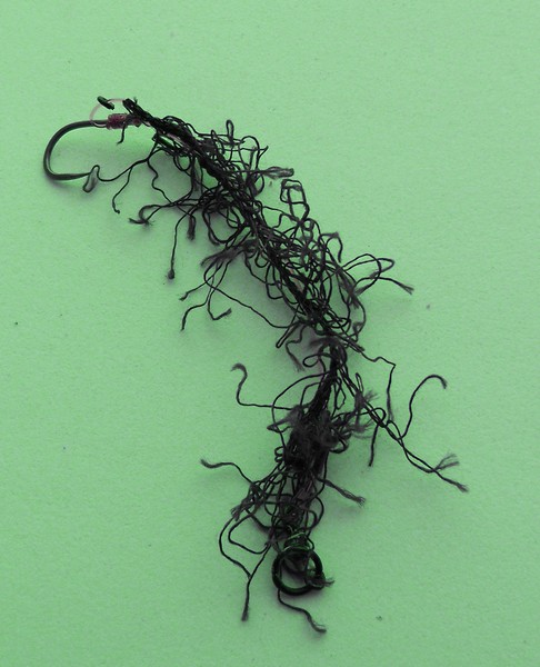 weed-effect-chod-rig-1369230803.jpg