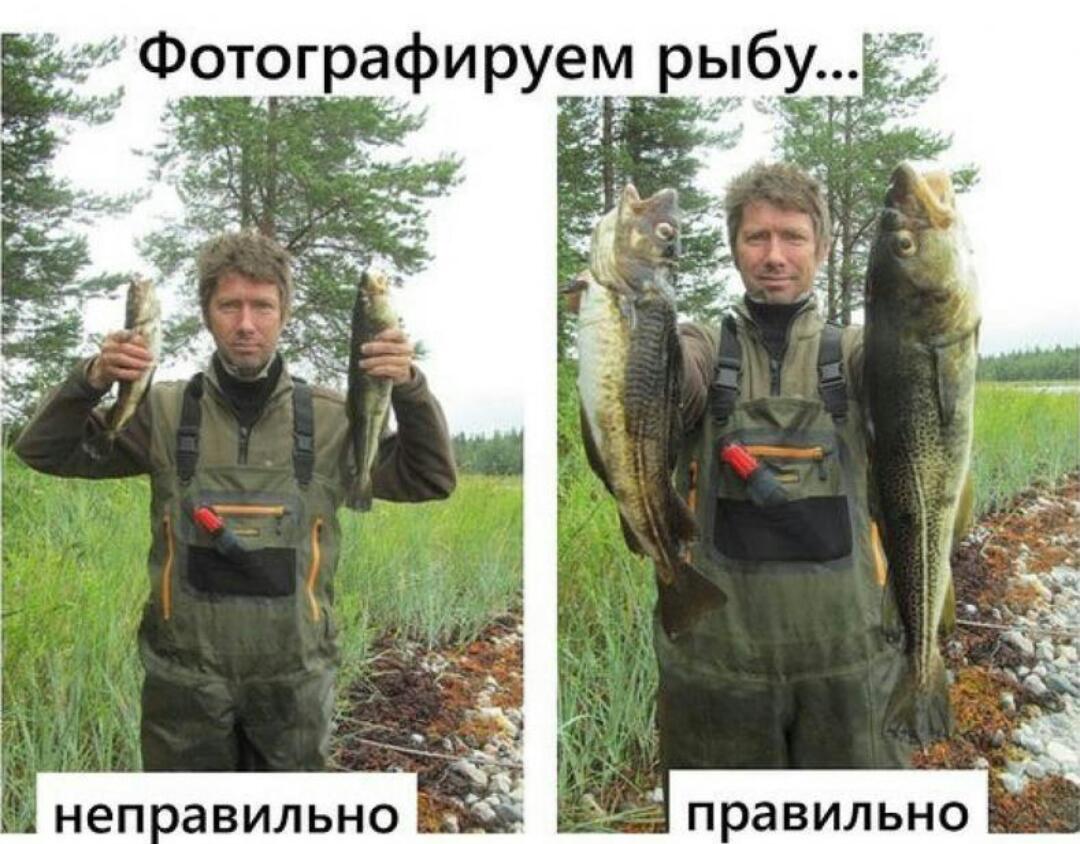 WhatsApp Image 2017-09-13 at 10.52.32(1).jpeg