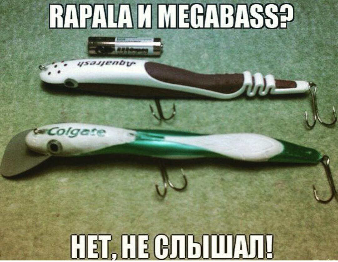 WhatsApp Image 2017-09-13 at 10.52.32.jpeg