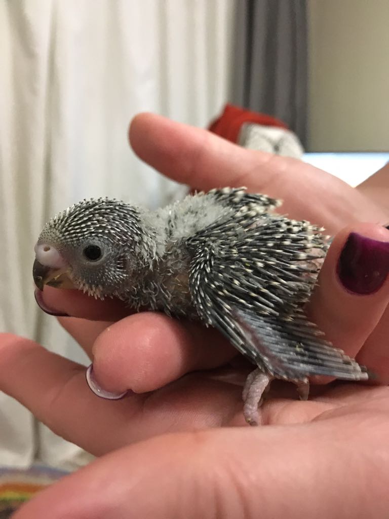 WhatsApp Image 2018-01-10 at 22.16.41.jpeg