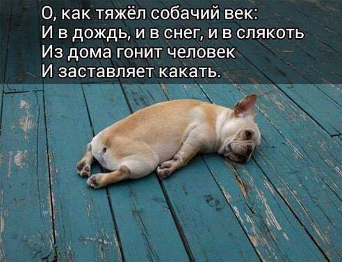 WhatsApp Image 2018-01-11 at 21.02.40.jpeg