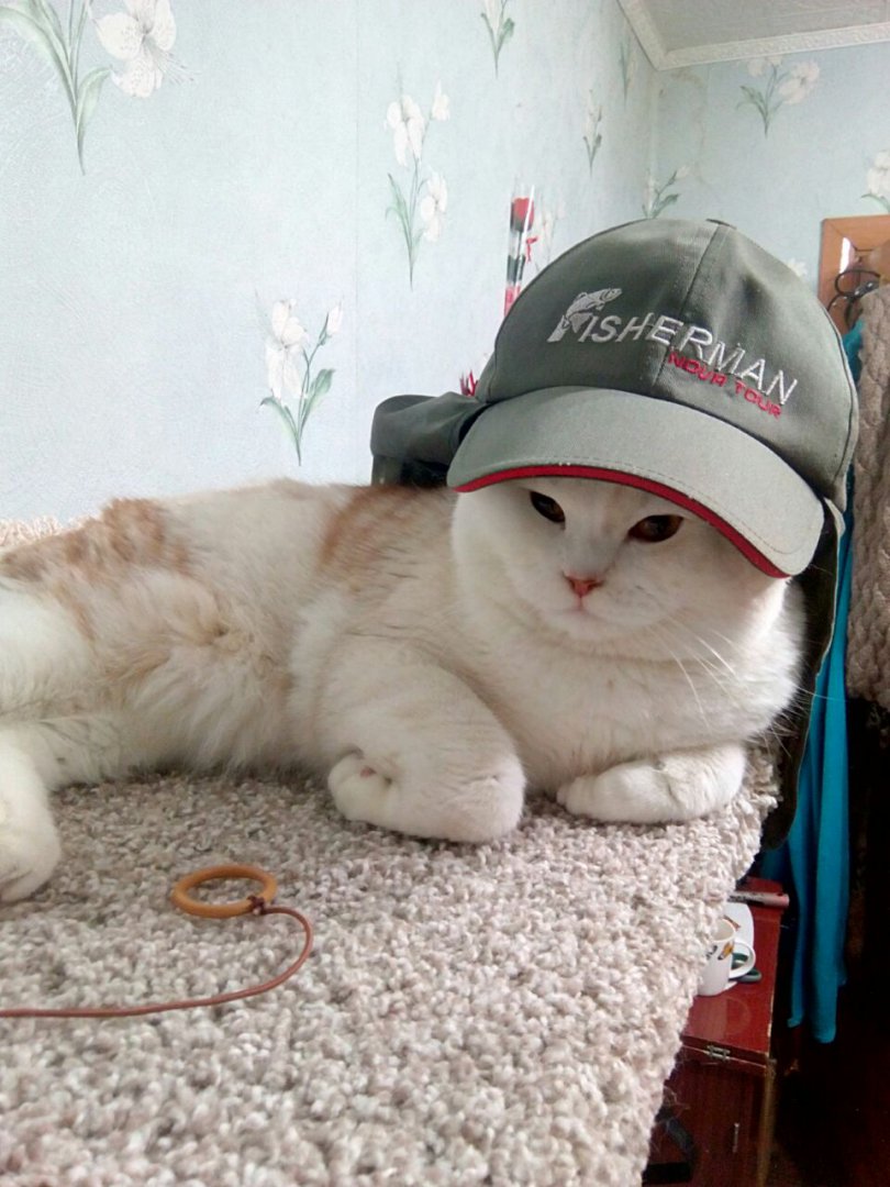 WhatsApp Image 2018-02-26 at 21.46.03.jpeg