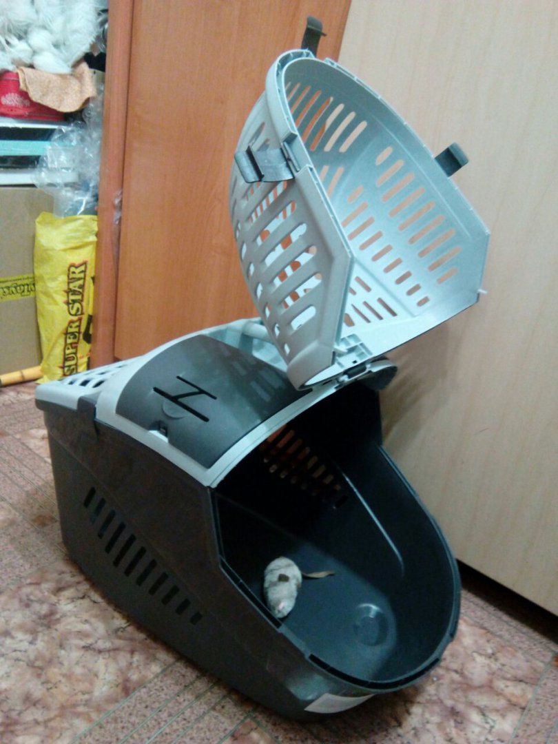 WhatsApp Image 2018-02-26 at 21.52.21.jpeg