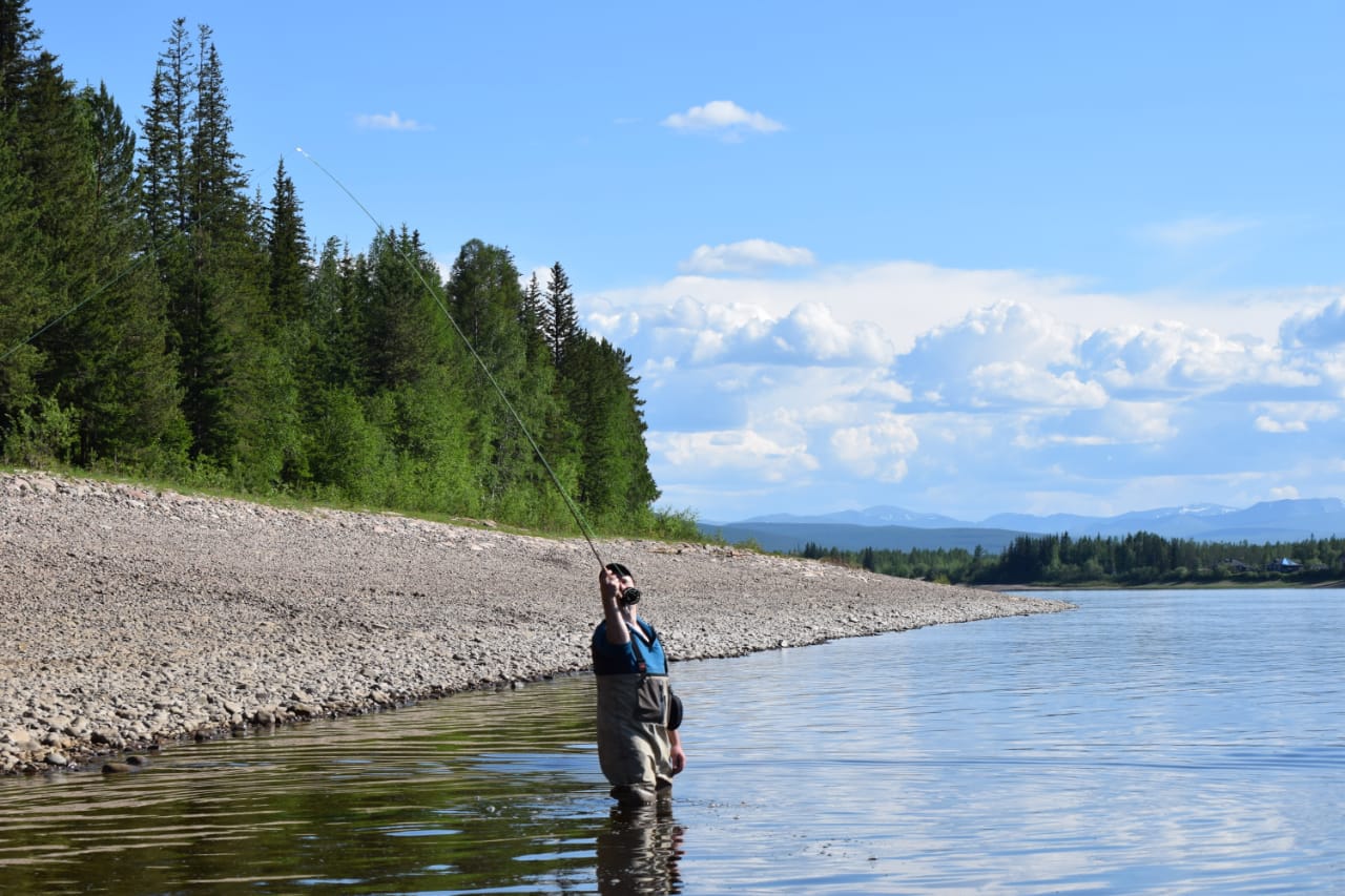 WhatsApp Image 2018-06-22 at 20.32.14(1).jpeg