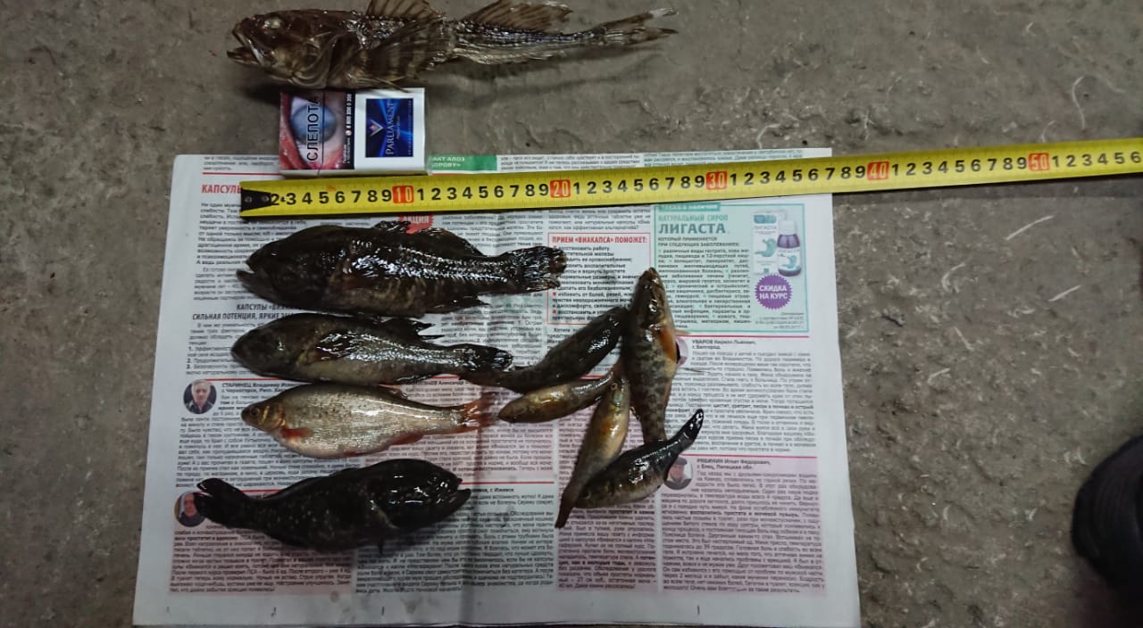 WhatsApp Image 2019-05-07 at 11.28.44(4).jpeg