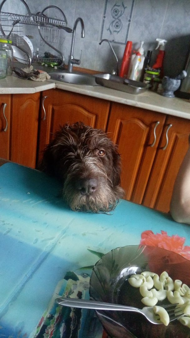 WhatsApp Image 2019-06-26 at 19.30.14.jpeg