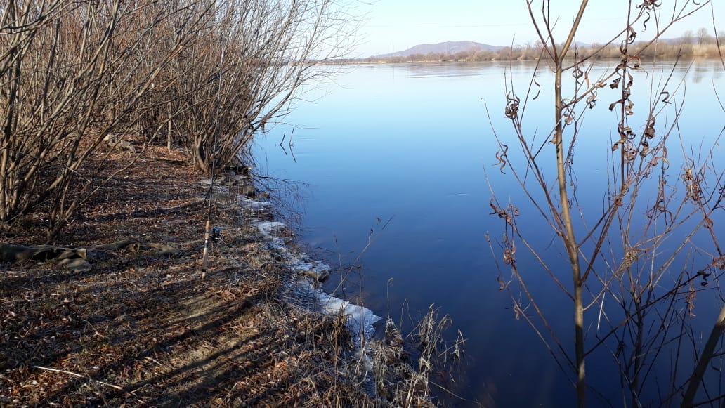 WhatsApp Image 2019-11-04 at 20.31.58.jpeg