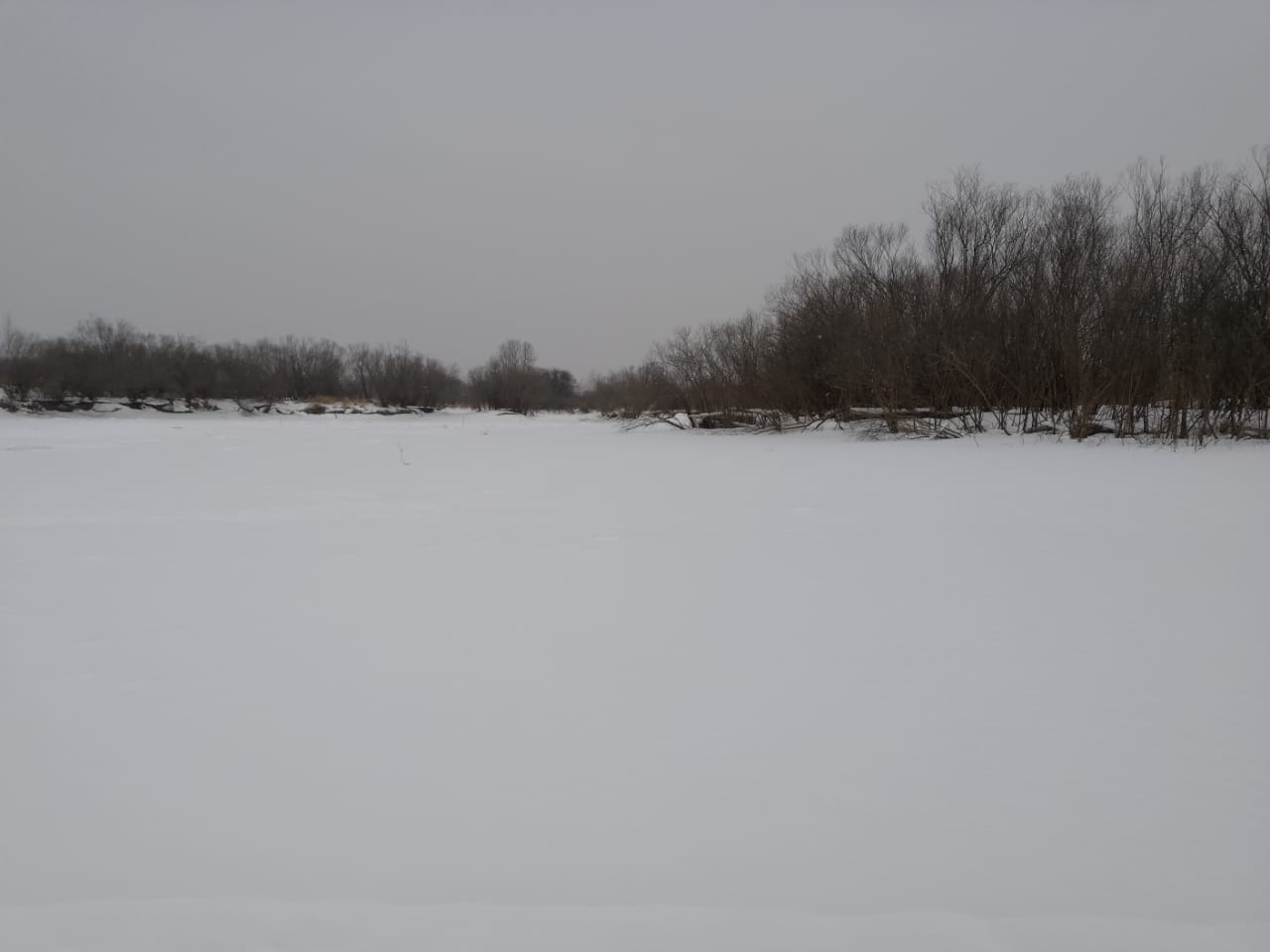 WhatsApp Image 2020-01-12 at 23.38.45.jpeg