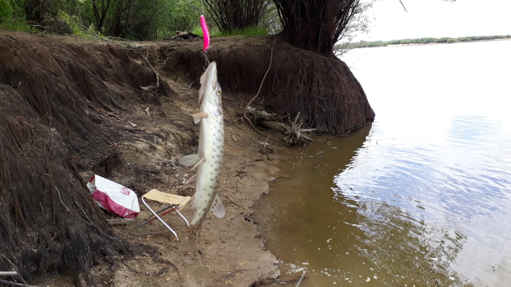 WhatsApp Image 2020-06-06 at 18.31.29(1).jpeg