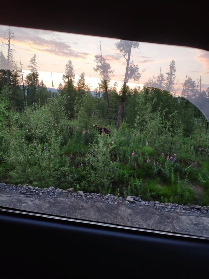 WhatsApp Image 2020-07-18 at 21.36.39.jpeg