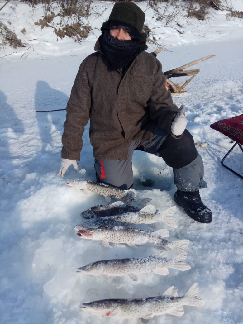 WhatsApp Image 2021-01-10 at 16.49.08.jpeg