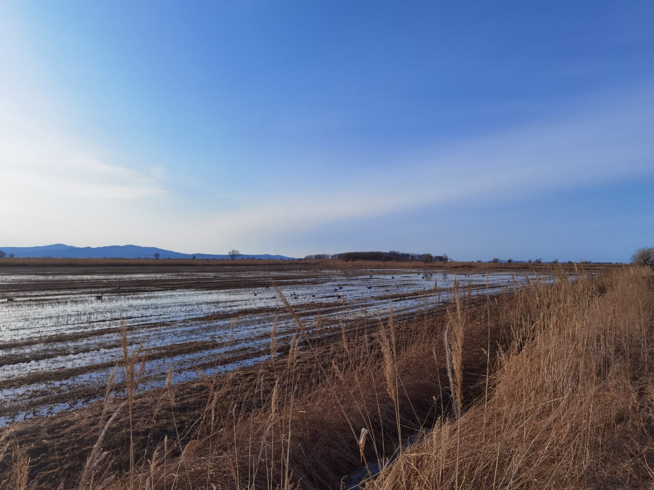 WhatsApp Image 2021-04-01 at 23.03.54.jpeg