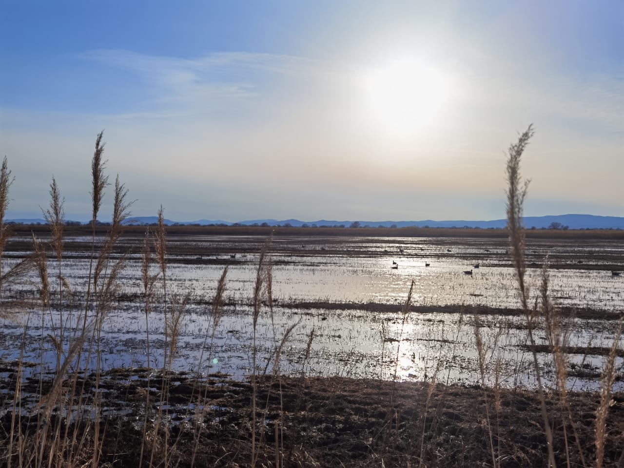 WhatsApp Image 2021-04-01 at 23.04.03.jpeg