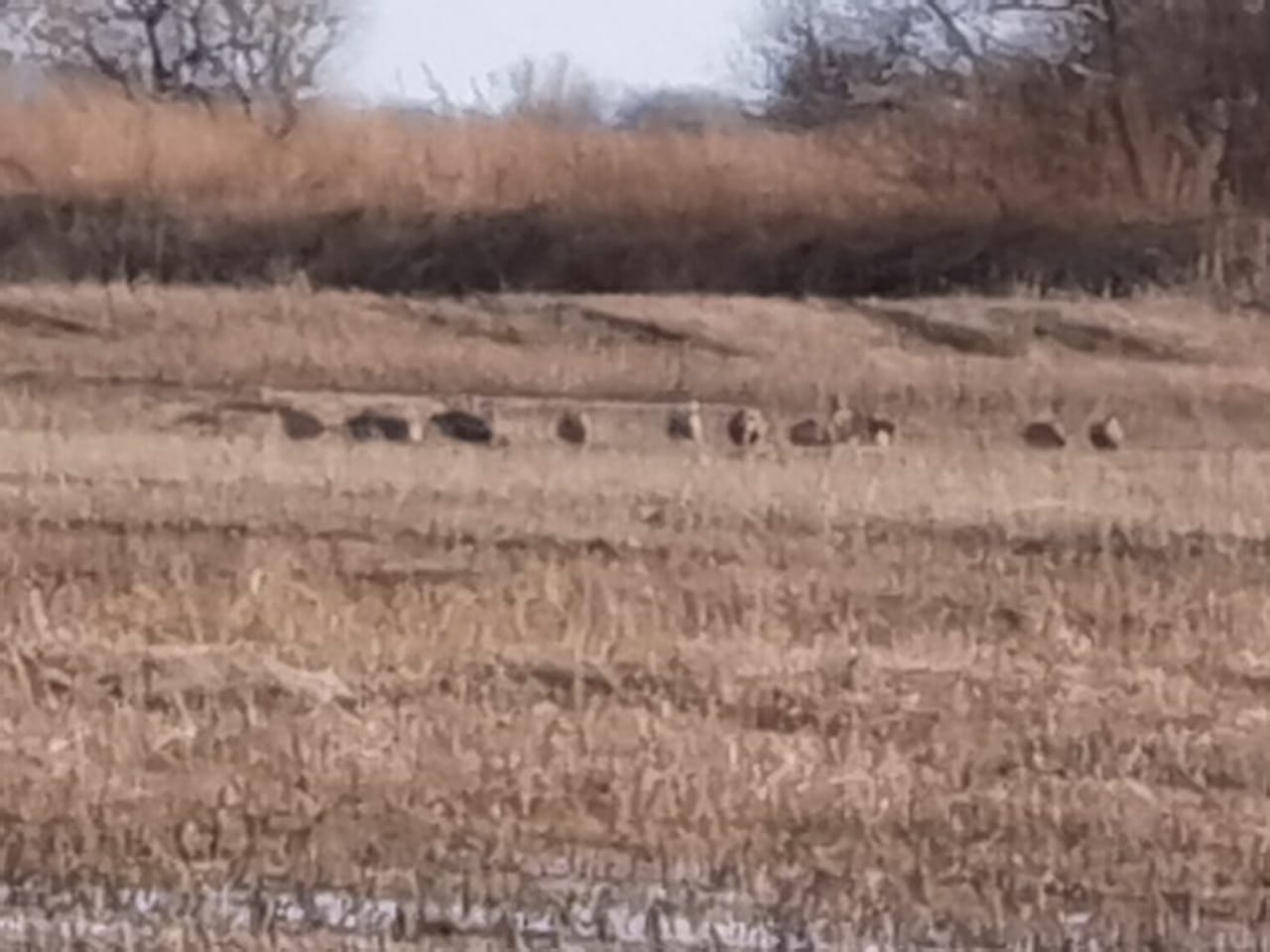 WhatsApp Image 2021-04-03 at 18.05.46 (1).jpeg