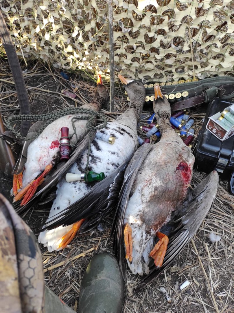 WhatsApp Image 2021-04-04 at 09.01.24.jpeg