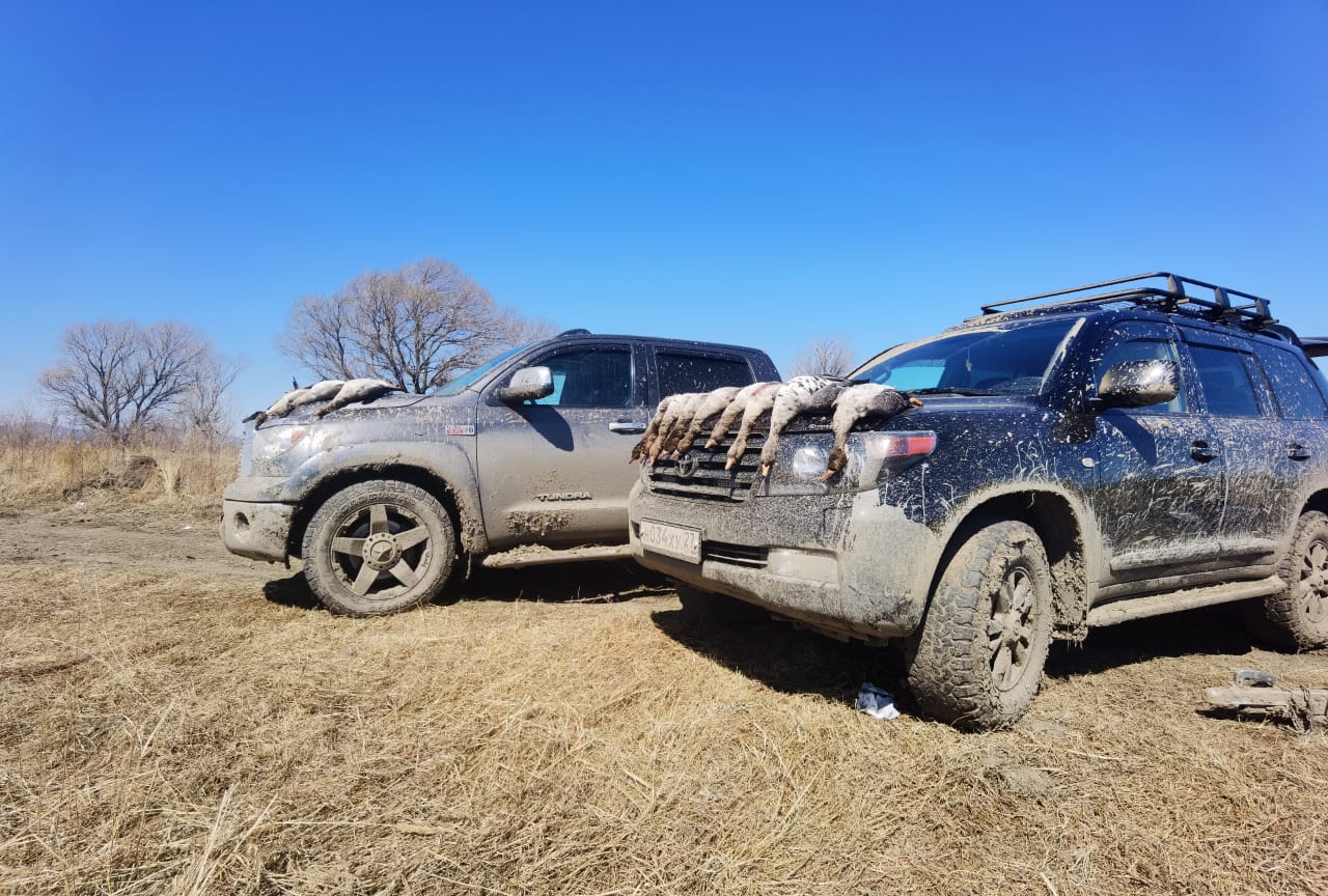 WhatsApp Image 2021-04-04 at 17.17.28.jpeg