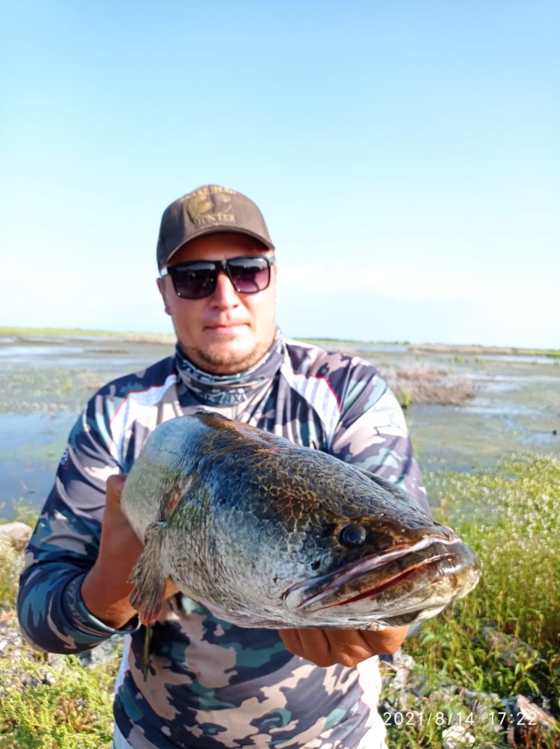 WhatsApp Image 2021-08-16 at 06.51.36 (1).jpeg