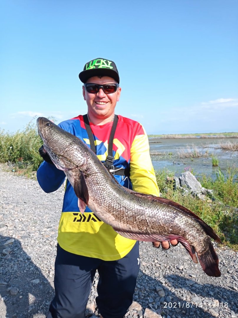 WhatsApp Image 2021-08-16 at 06.51.38 (1).jpeg