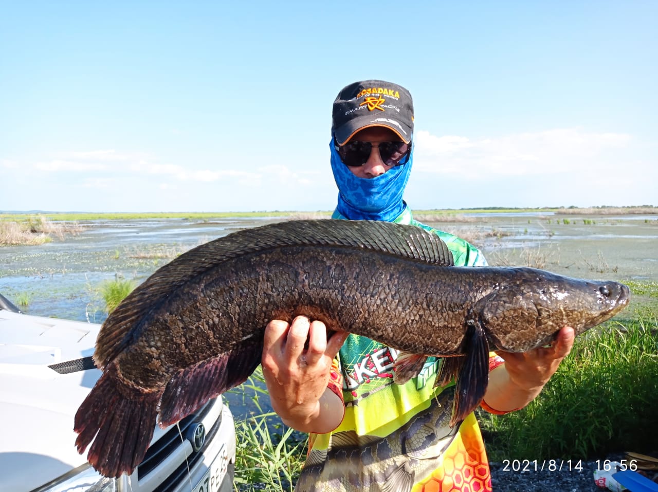 WhatsApp Image 2021-08-16 at 06.51.43.jpeg