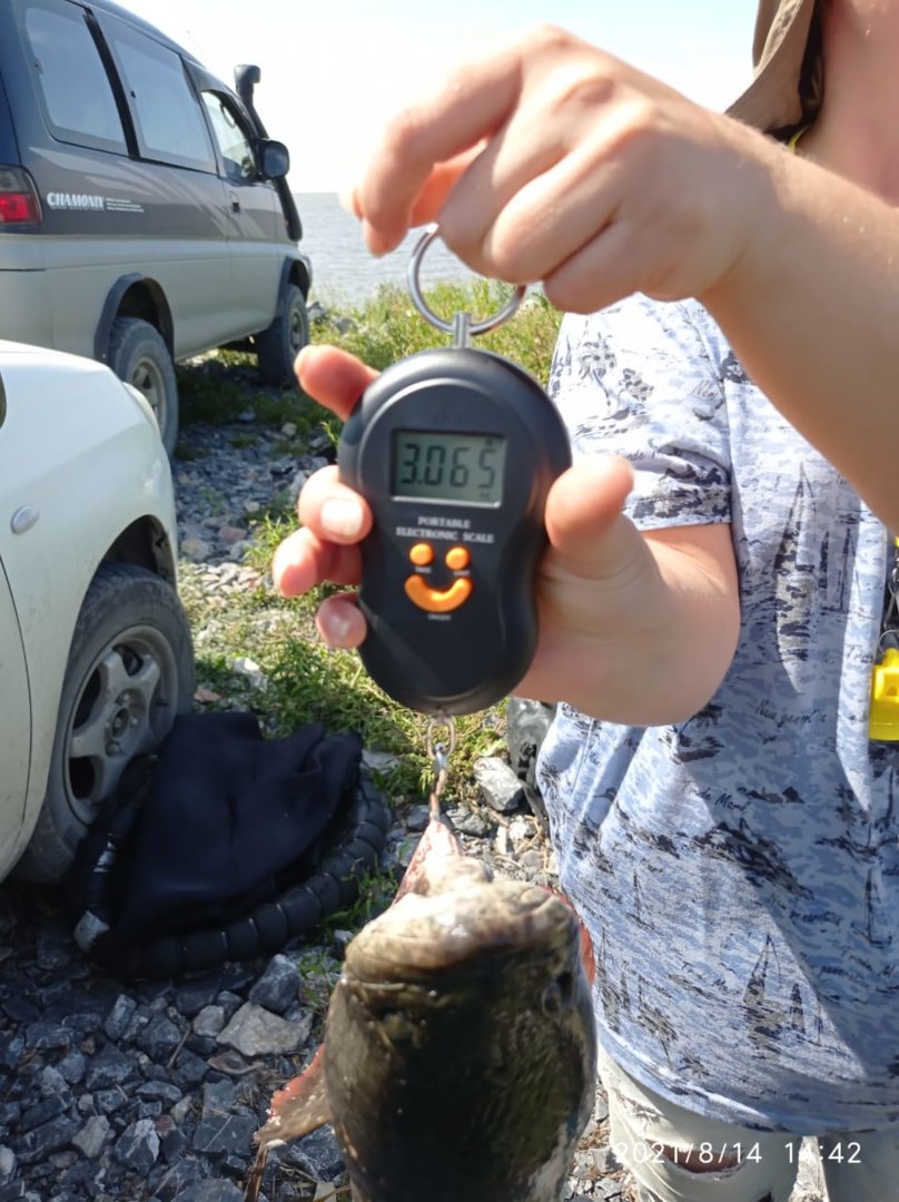 WhatsApp Image 2021-08-16 at 06.52.32.jpeg