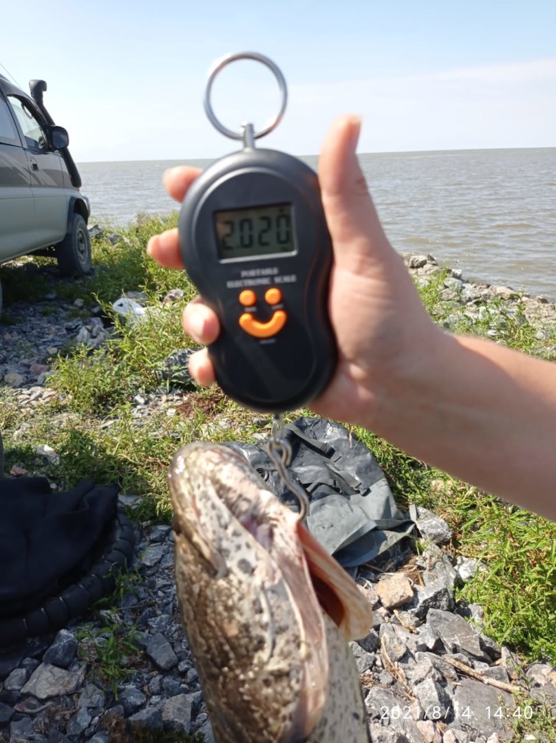 WhatsApp Image 2021-08-16 at 06.52.34.jpeg