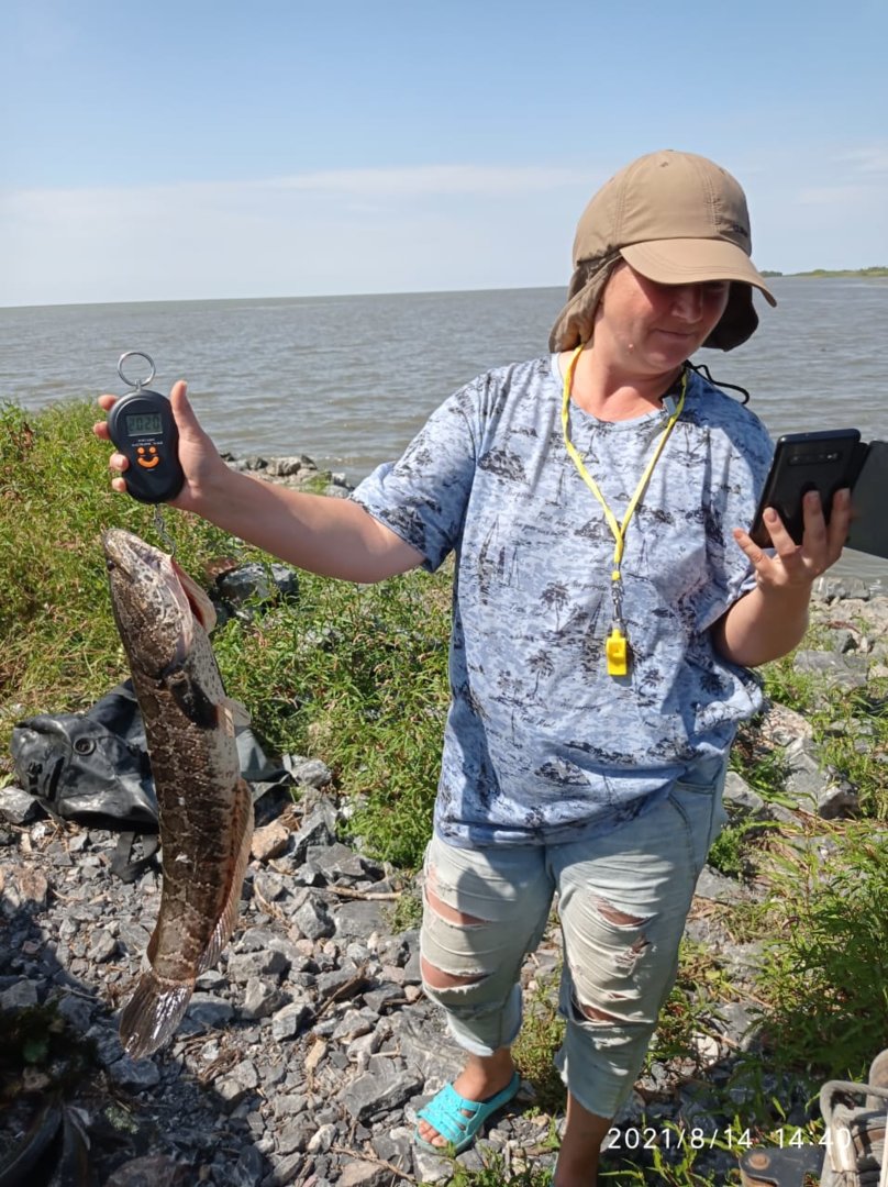 WhatsApp Image 2021-08-16 at 06.52.35.jpeg