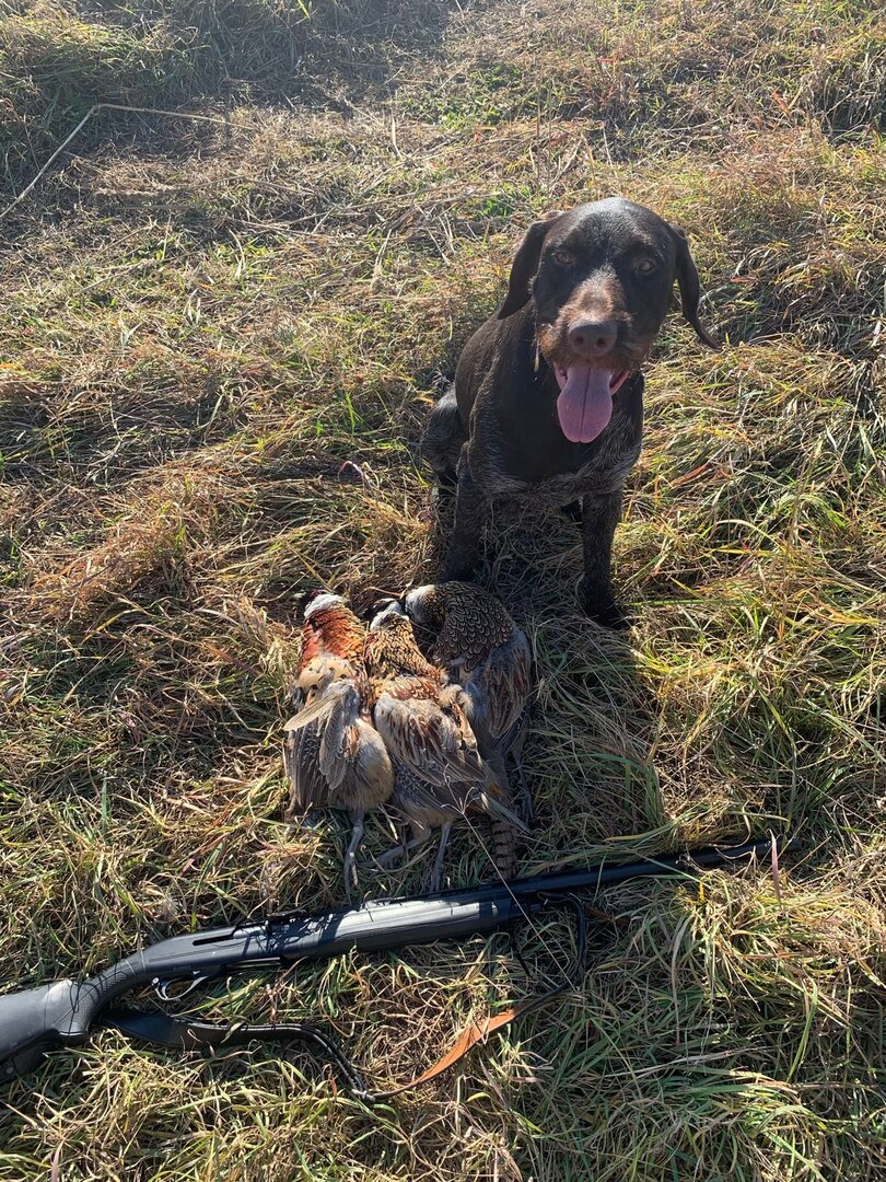 WhatsApp Image 2021-11-01 at 09.07.50.jpeg