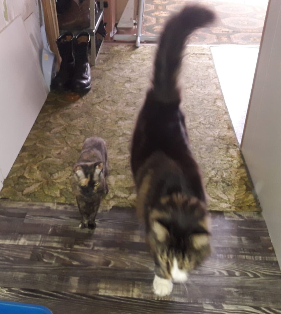 WhatsApp Image 2022-09-22 at 16.17.09.jpeg