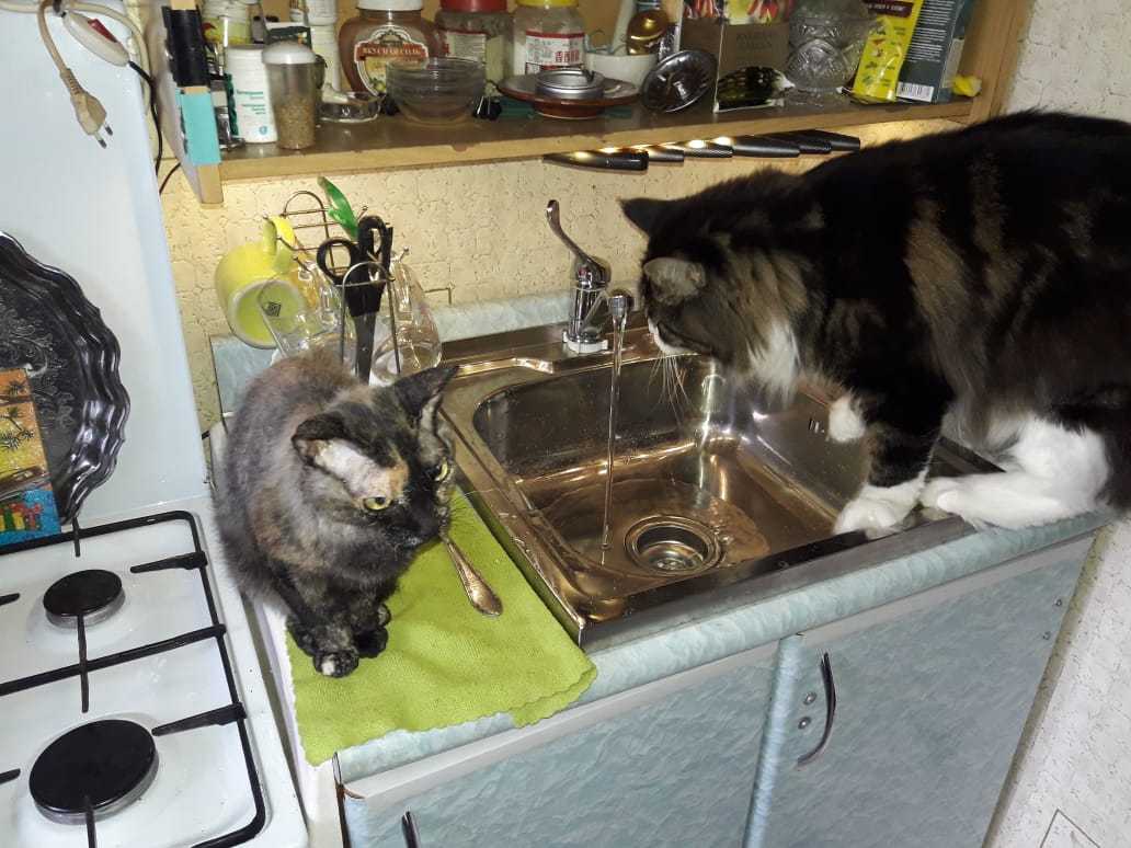 WhatsApp Image 2022-09-22 at 16.17.11.jpeg