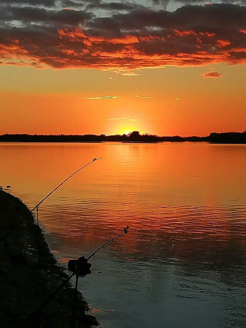 WhatsApp Image 2022-10-01 at 18.40.47.jpeg