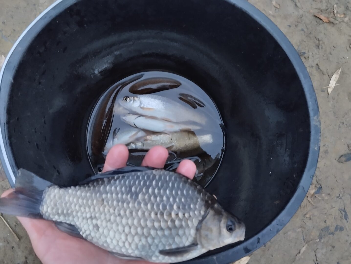 WhatsApp Image 2022-10-10 at 12.49.28.jpeg