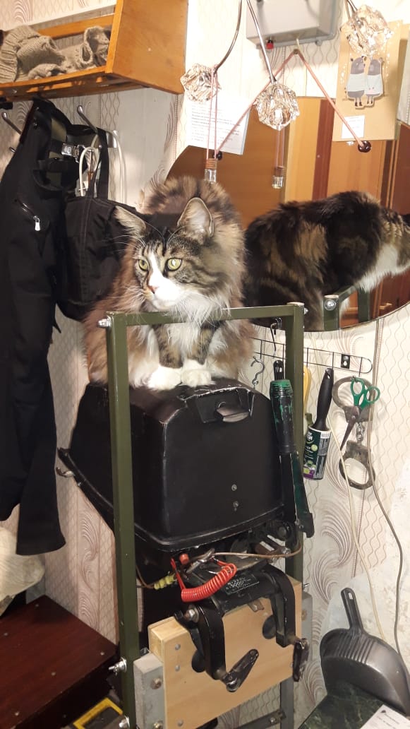 WhatsApp Image 2022-12-10 at 19.12.28.jpeg