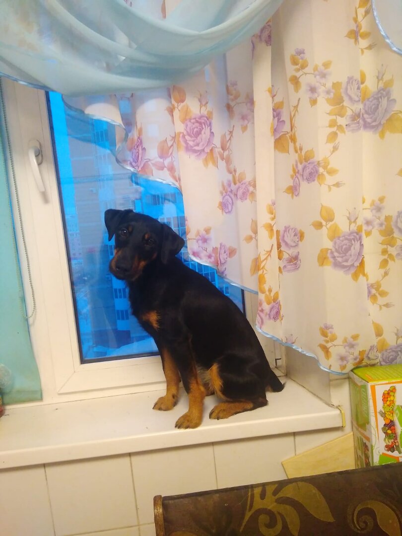 WhatsApp Image 2023-03-06 at 14.05.15.jpeg