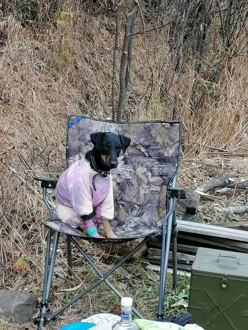 WhatsApp Image 2023-03-06 at 14.07.34.jpeg