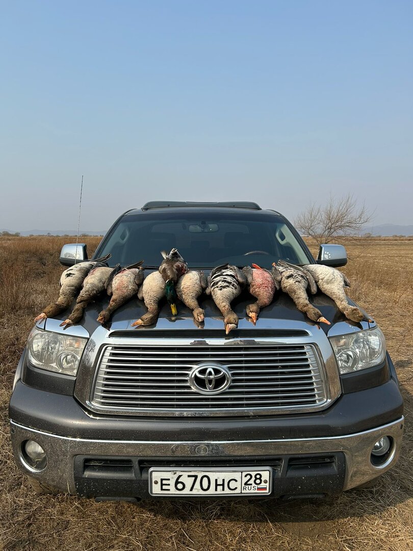 WhatsApp Image 2023-04-02 at 11.23.22.jpeg