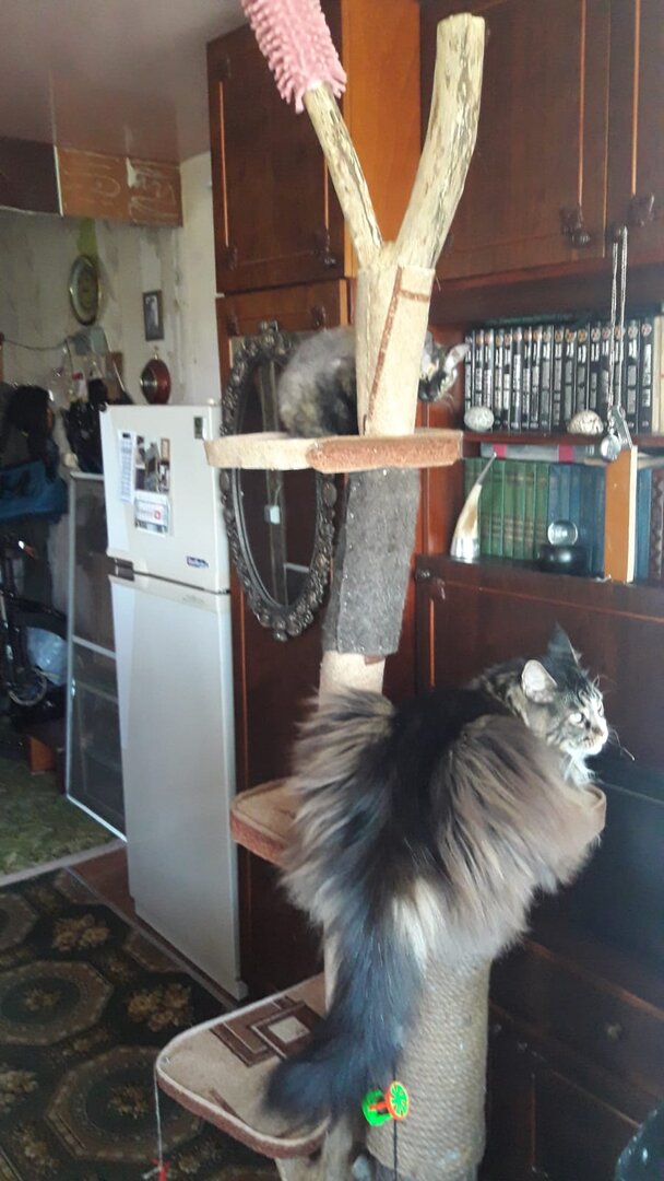 WhatsApp Image 2023-06-03 at 06.05.11.jpeg