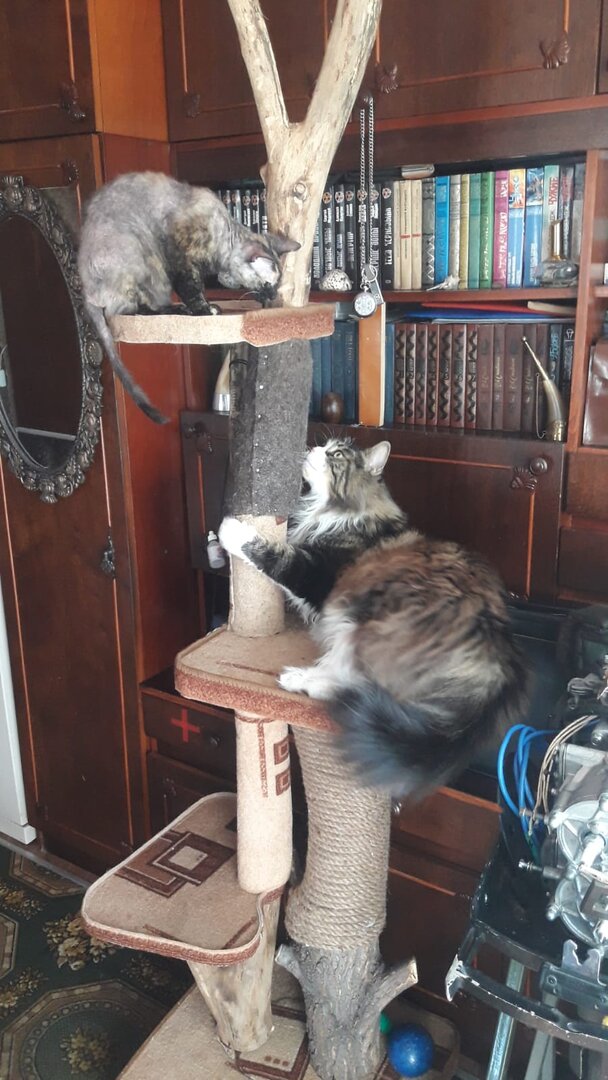 WhatsApp Image 2023-06-03 at 06.05.36.jpeg