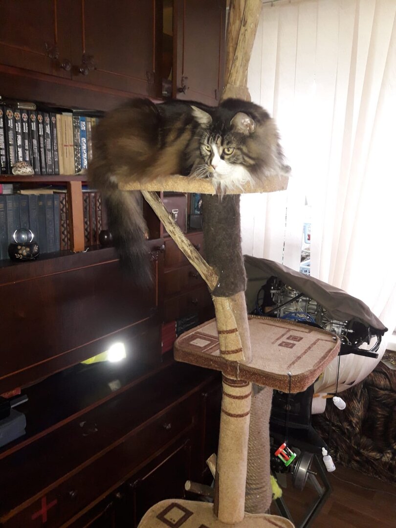 WhatsApp Image 2023-06-03 at 06.06.18.jpeg