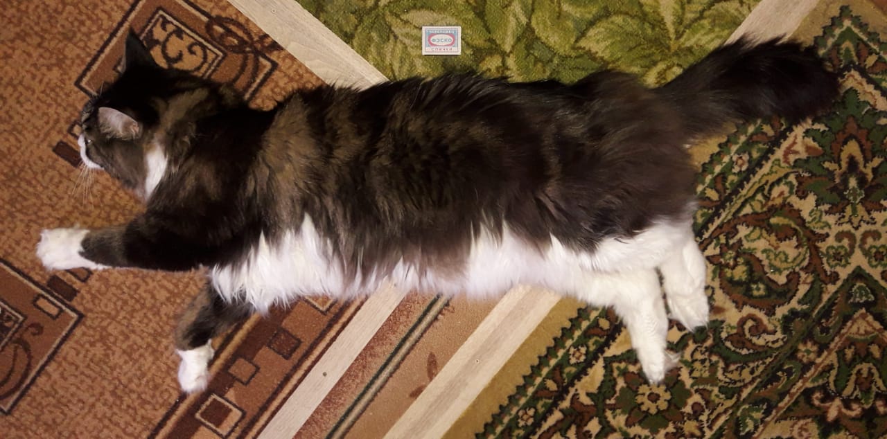 WhatsApp Image 2023-12-17 at 13.20.24.jpeg