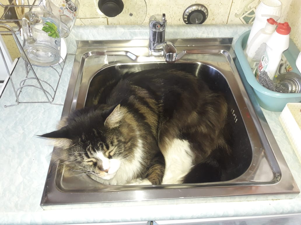 WhatsApp Image 2024-01-04 at 09.35.02.jpeg