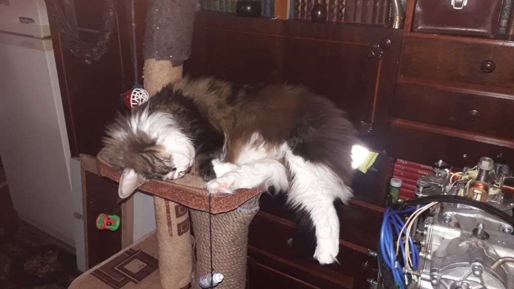 WhatsApp Image 2024-01-15 at 10.03.44.jpeg