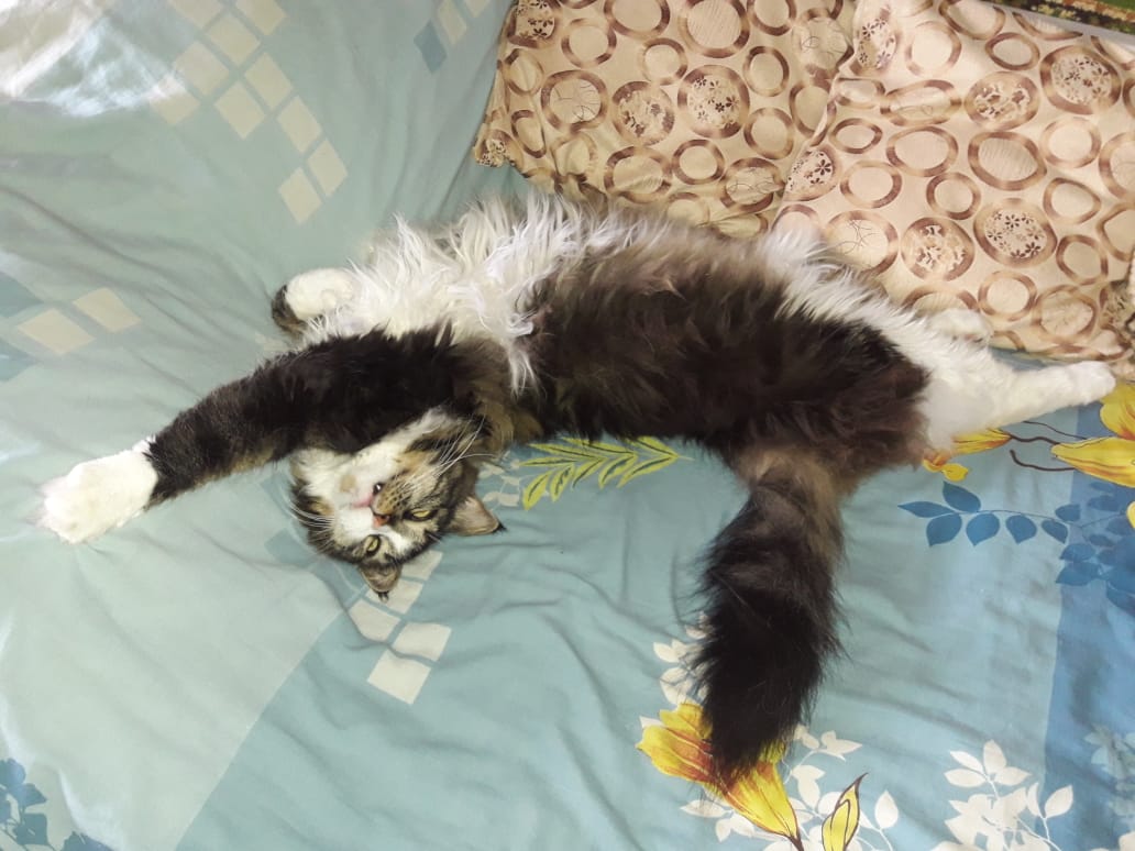 WhatsApp Image 2024-01-15 at 10.03.45.jpeg