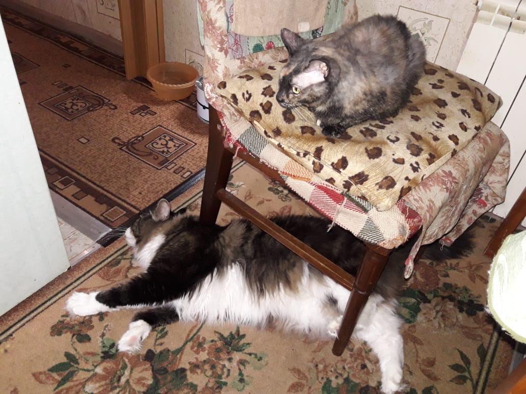 WhatsApp Image 2024-01-15 at 10.04.18.jpeg