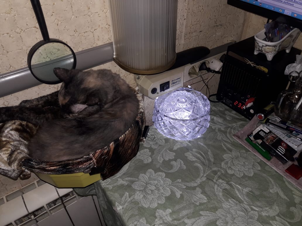 WhatsApp Image 2024-01-15 at 10.05.05.jpeg