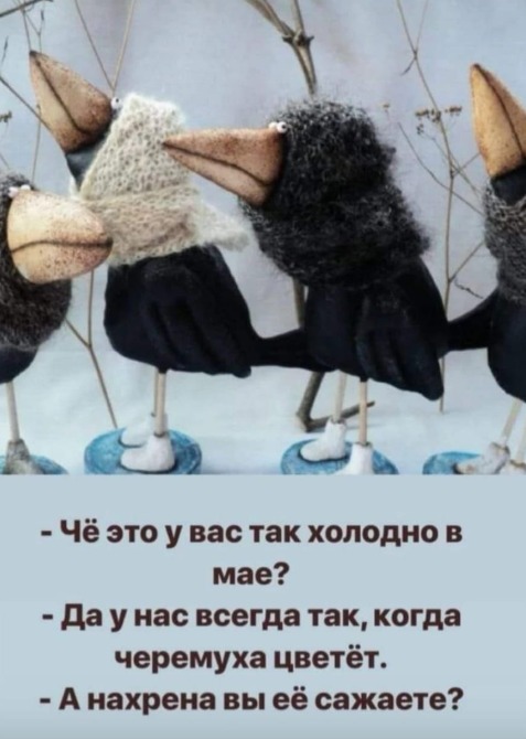 WhatsApp Image 2024-05-08 at 03.55.25.jpeg